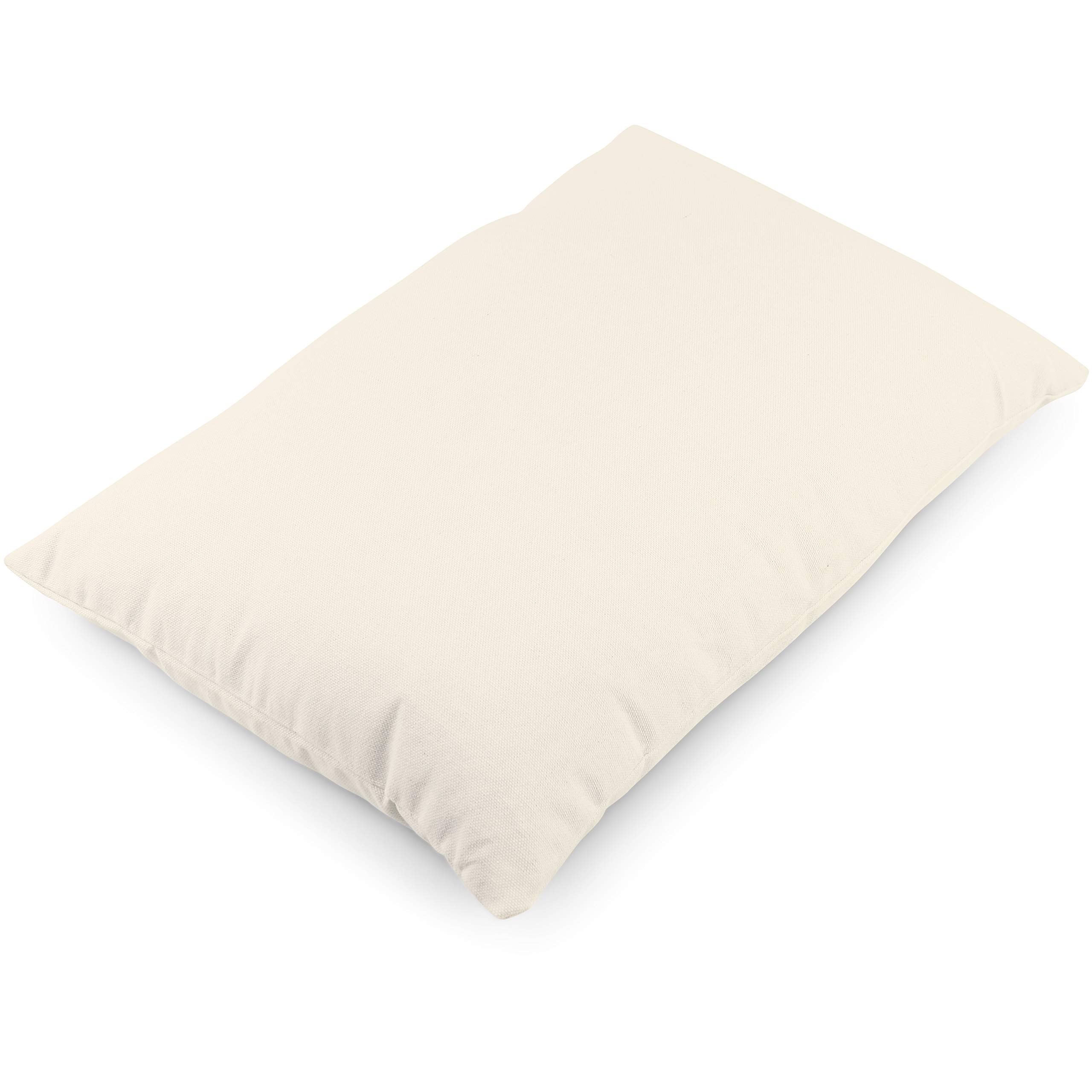 Amazon.com: PILLOWY Buckwheat Big Buck Bed Pillow Filled with US